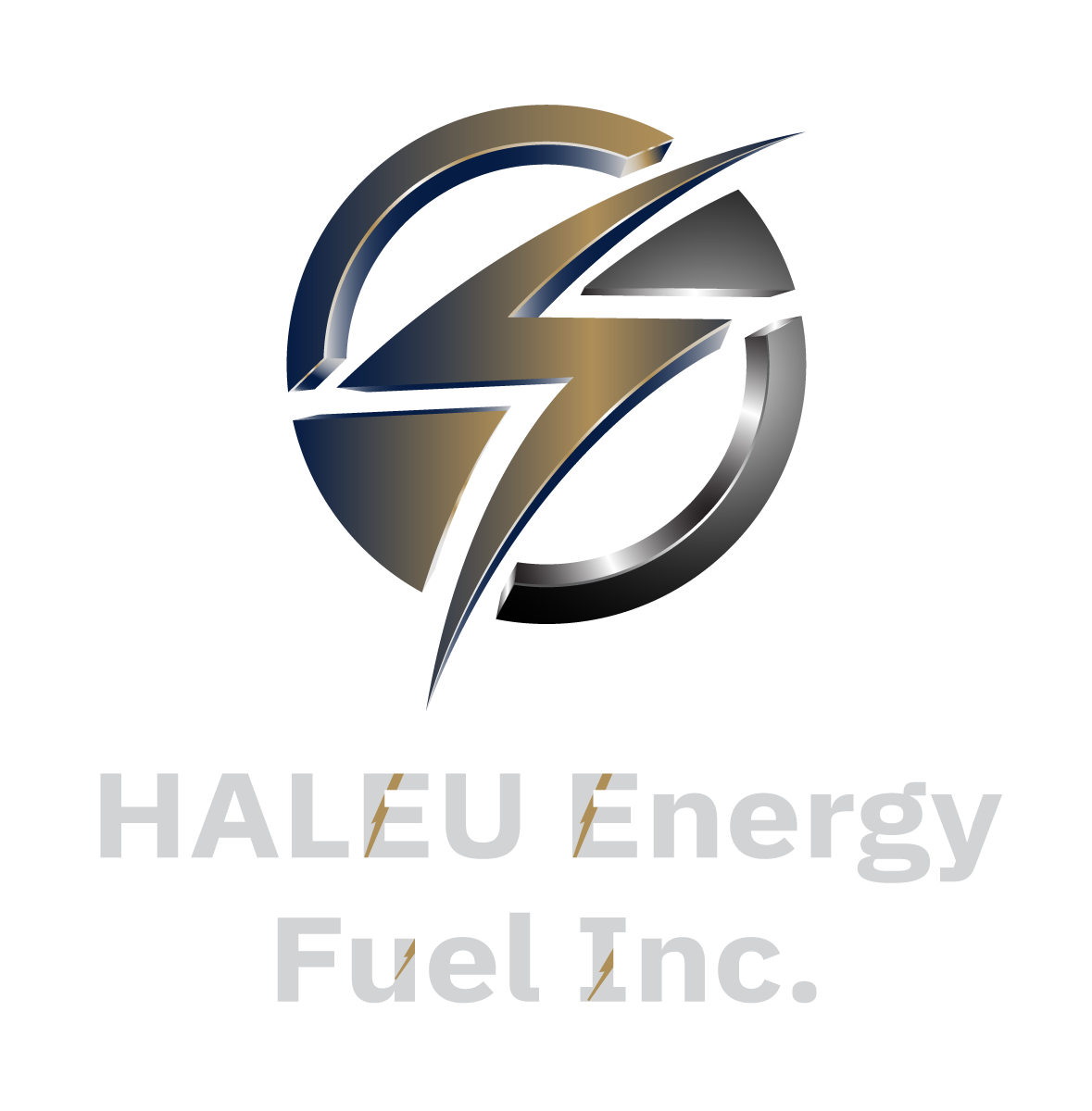 HALEU Energy Fuel - NANO Nuclear Energy